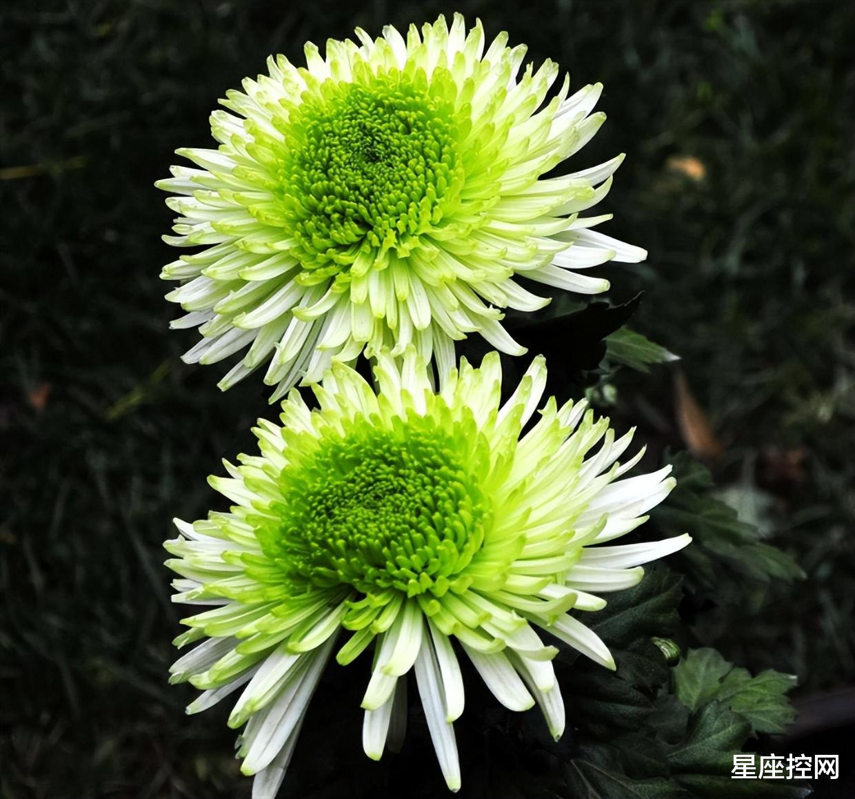 |啥时辰出生的人,自带贵气,事业发展如日中天,开启升级打怪模式