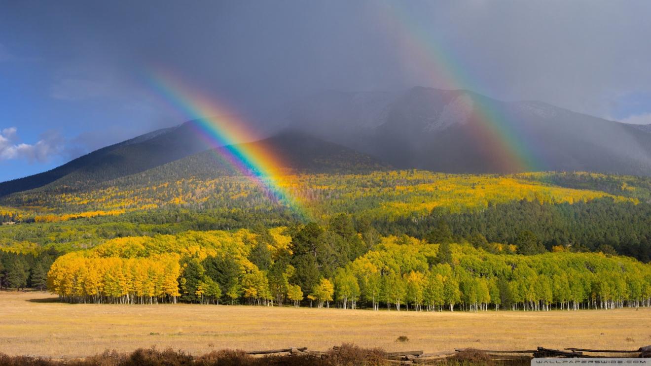 河南|职场里混了这么多年,很成功,但是一看就知道他只是个小喽喽