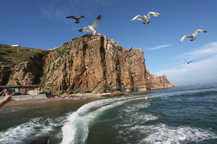 海驴岛|威海海驴岛,鸟儿偏爱的地方,你喜欢吗?