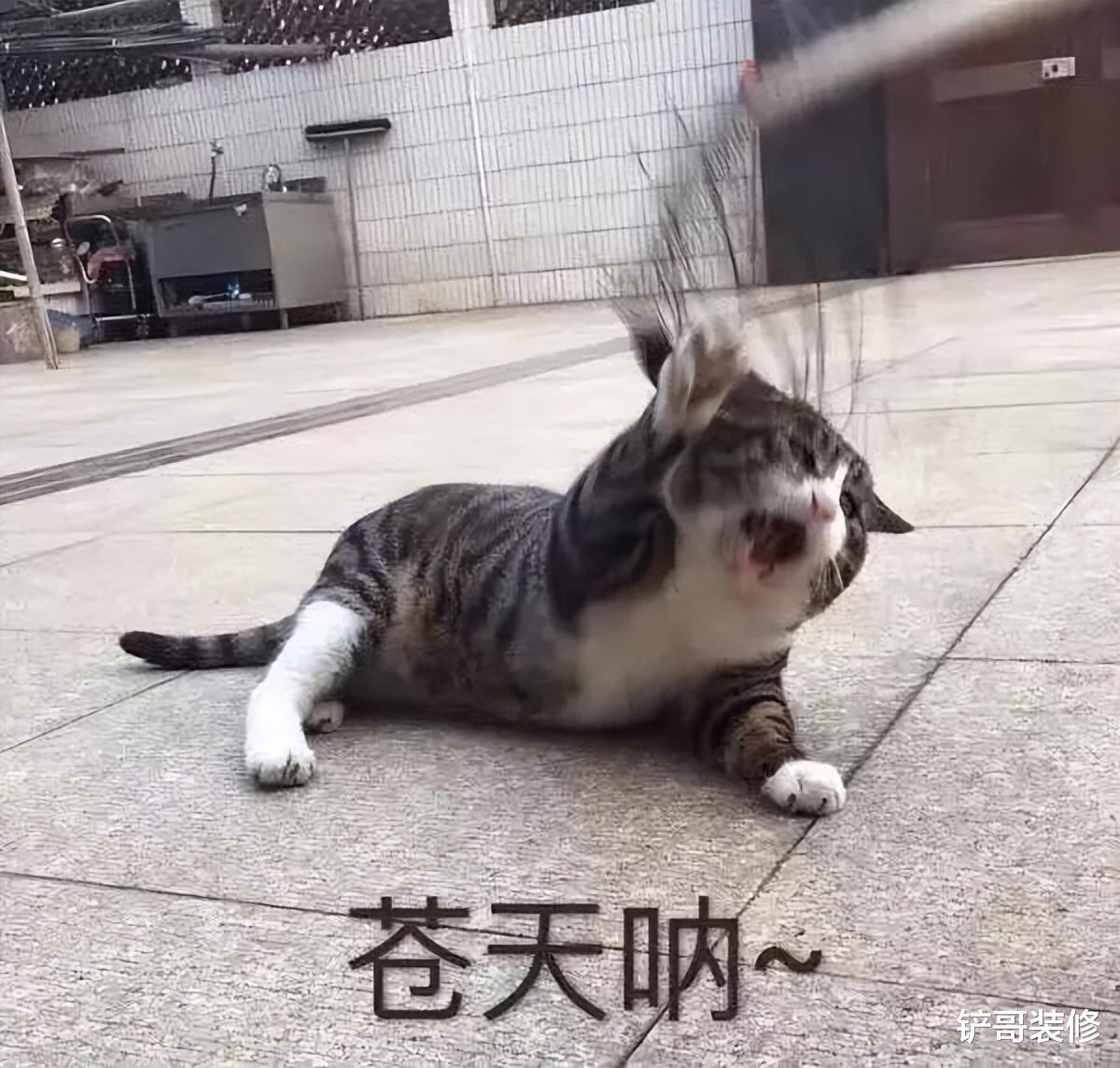 建议各位：拖把别放在这3个“位置”，其中有大讲究，别不当回事