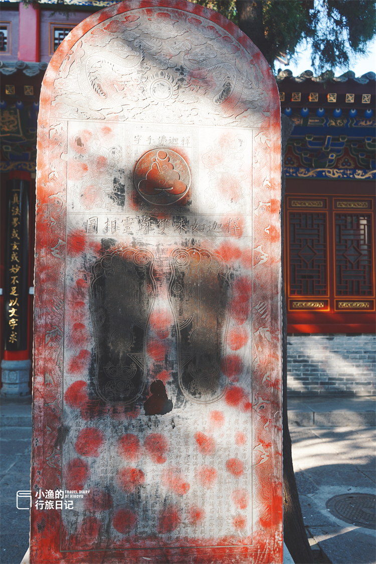 文昌|国庆赏秋不拥挤！隐于西安闹市的秘境古寺，藏着流转千年的诗意