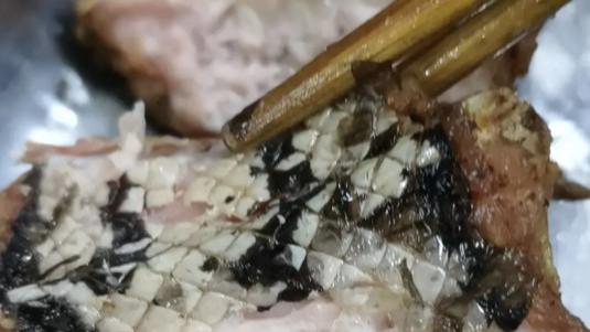 |“我爸说这是龙肉，我不信”哈哈哈哈真香