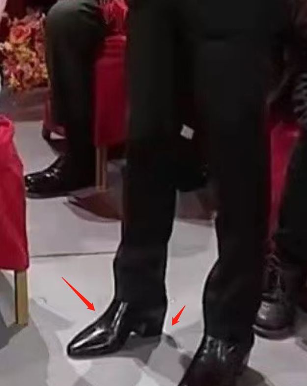 金靖|春晚明星同款受追捧，秦岚金靖毛衣已断货，苏有朋皮鞋只剩女款