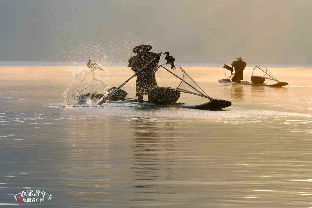 浙江省|你好，十二月！共赏冬酿的时光！| 广西旅游年卡