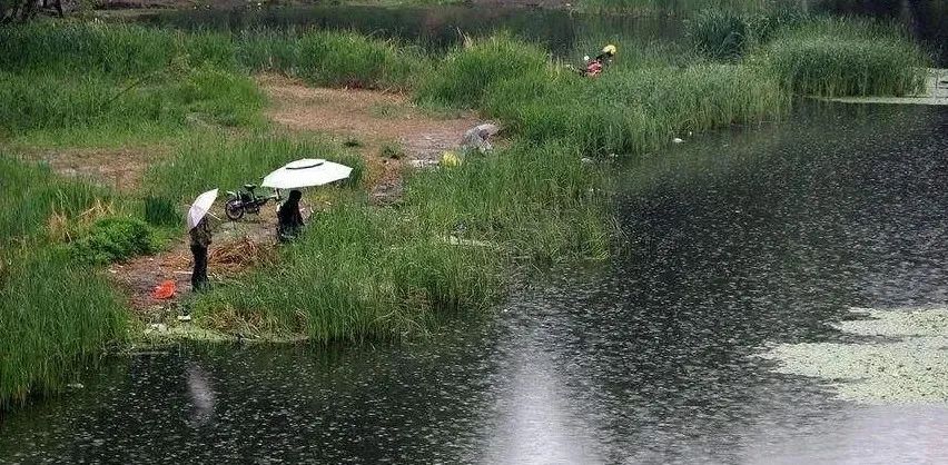 饵料|春钓下雨天的技巧，让连杆爆护来得更容易些
