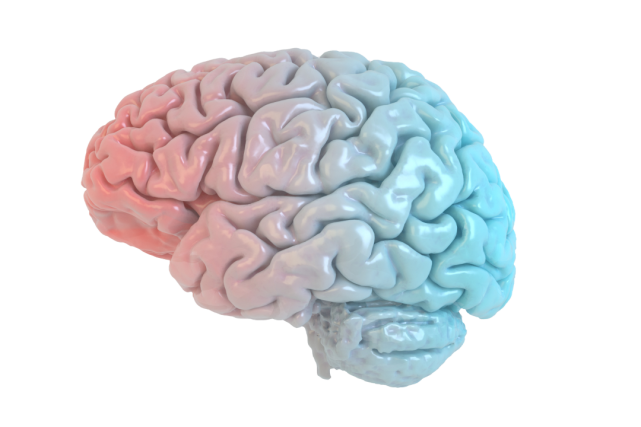 运动|即使少量运动,变化也太大了!