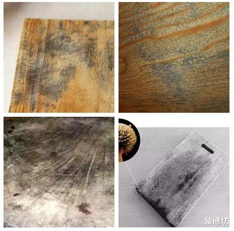 家里这4样东西,表面干净实际很脏,看完你就明白了!