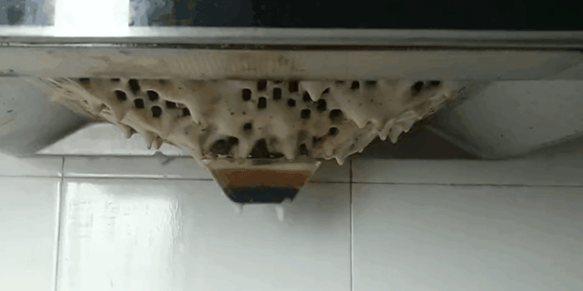实体店商家建议:这3样东西最好去网上买,不然吃亏的是自己