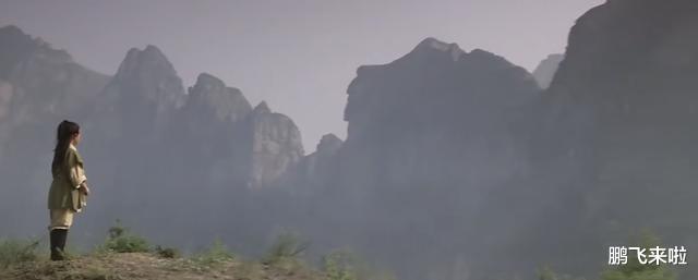 王思聪|跨国资本，递了一把刀，随后，武侠电影消失了