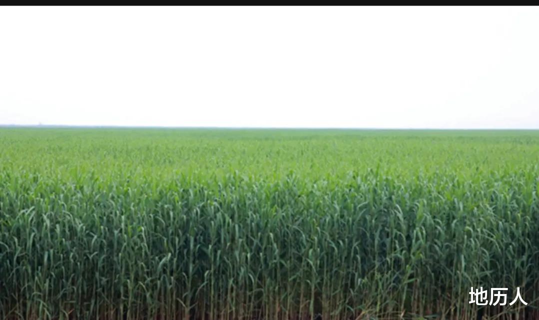 旅游签证|鸭绿江上岛屿归属问题