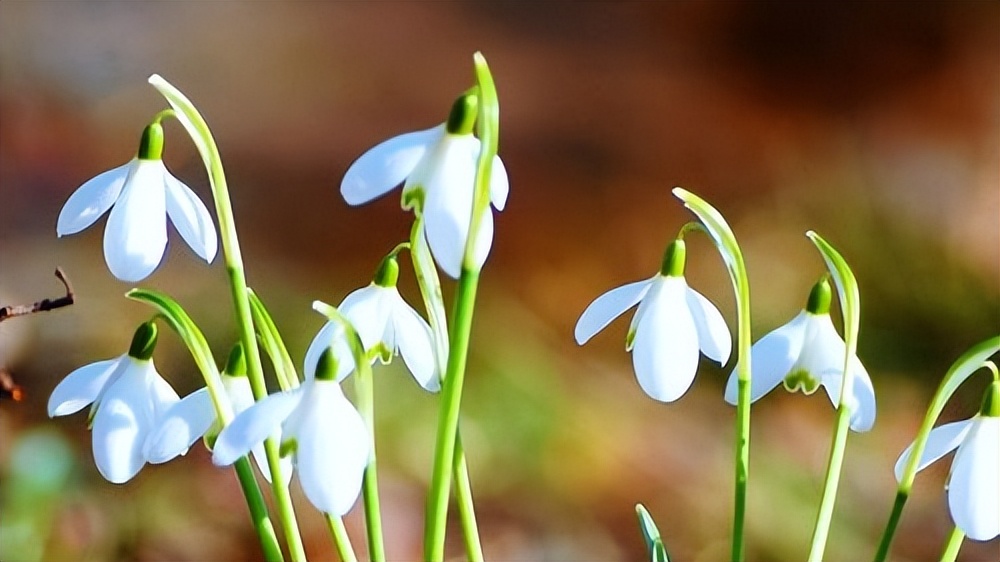 耳鸣|长久保持自律的４个小方法，人人都可复制！
