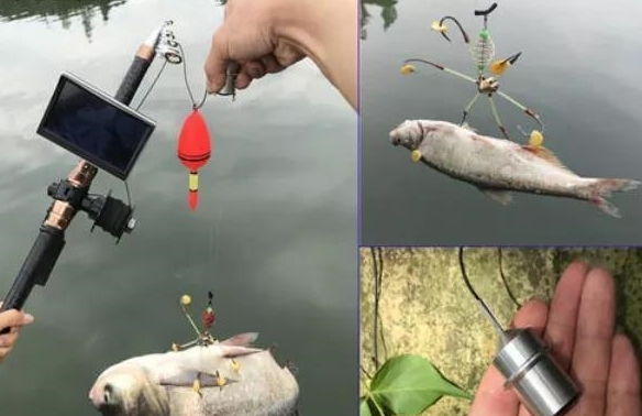 算法|重庆一地采用AI视频监控，连破四起视频锚鱼案，均涉非法捕捞水产