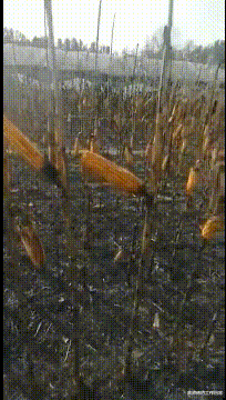 “一月80元的房子,我和女朋友整整租了半年!”兄弟腰挺好啊...