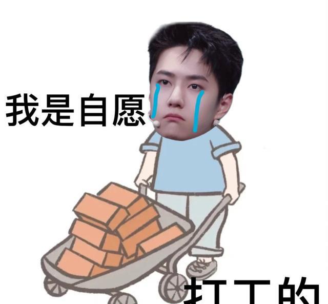 王一博|王一博知道吗？粉丝自娱自乐办春晚，不愧是内娱高质量粉圈