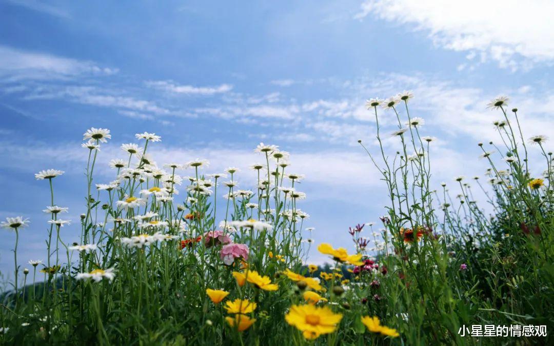 |真正自律的人,都做到了这五件事