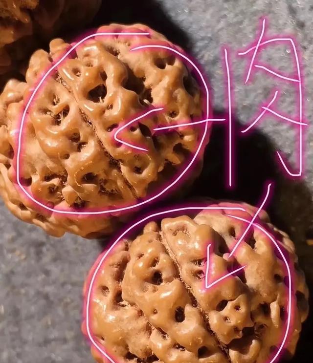 金刚菩提|玩金刚菩提,这七个问题,你必须先搞清楚!