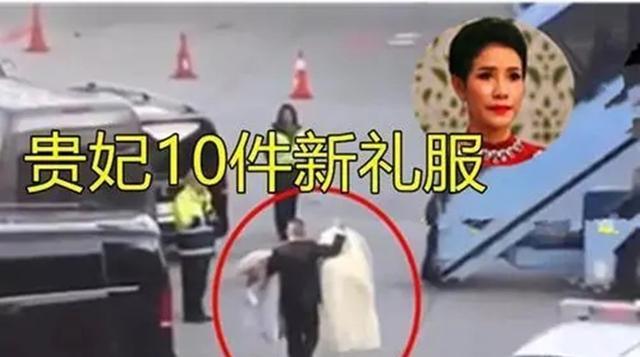 诗妮娜|从“凌云峰”归来的诗妮娜再次被打入冷宫，果然印证了伴君如伴虎