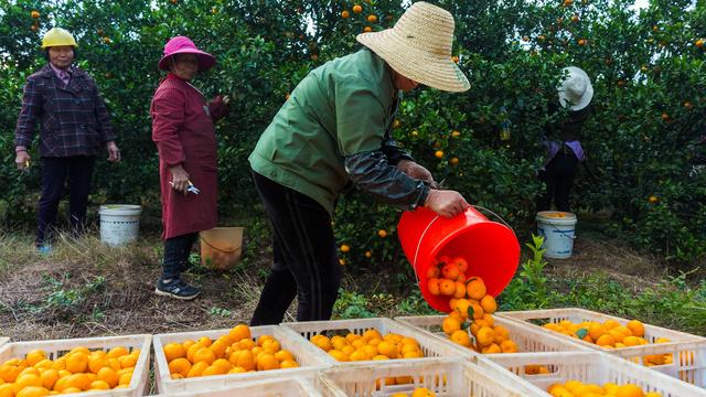 微商|古典“微商”，改写平民创业者命运