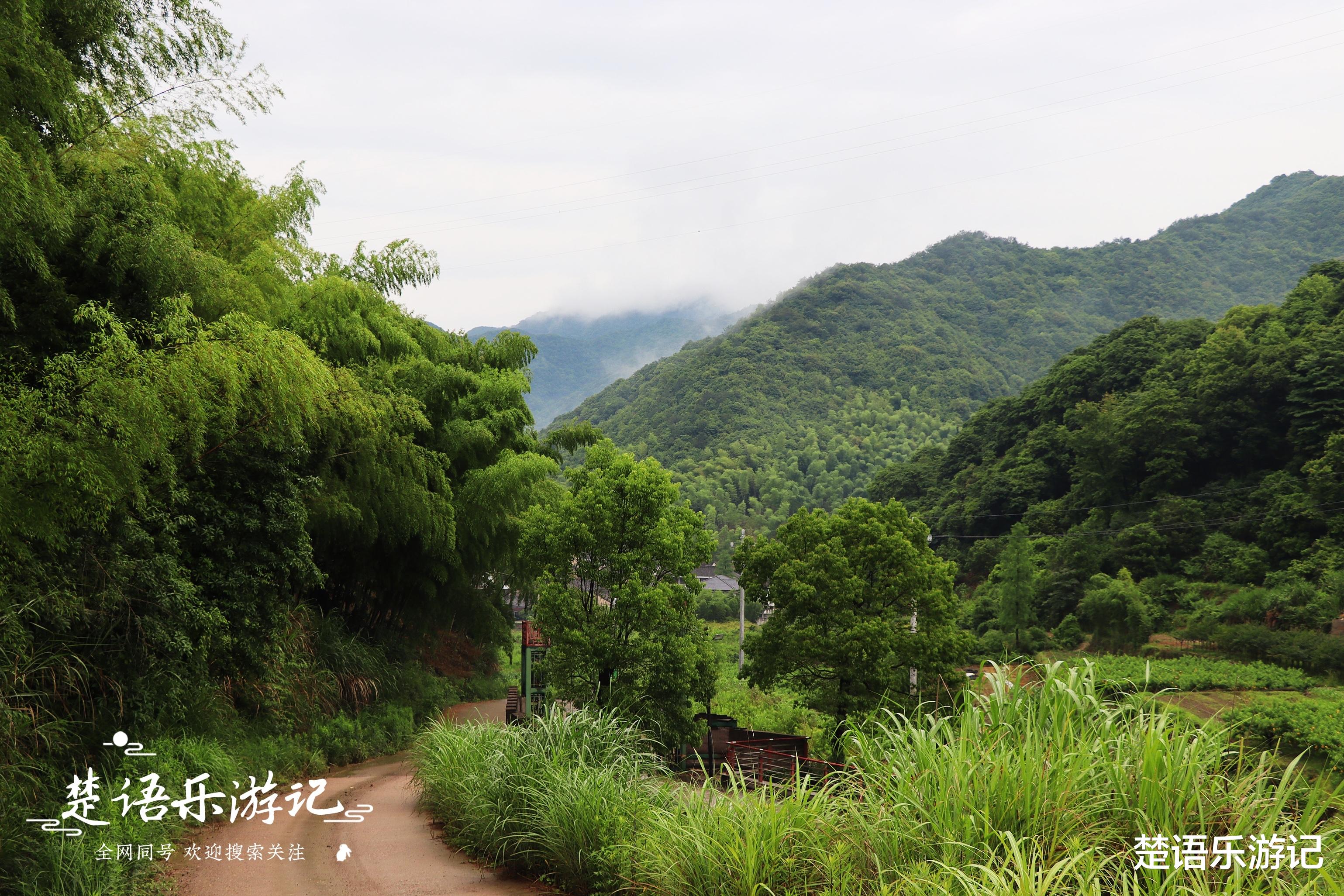 宁波|山涧清溪仿若仙境，客栈美如童话，浙江宁波这个古村真的太美了