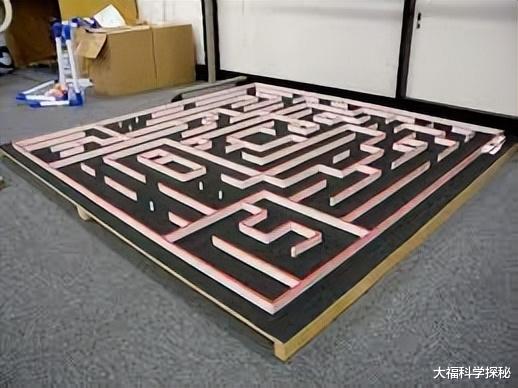 大脑开发不到10%，怎样变成爱因斯坦的智商？后天可以开发培养