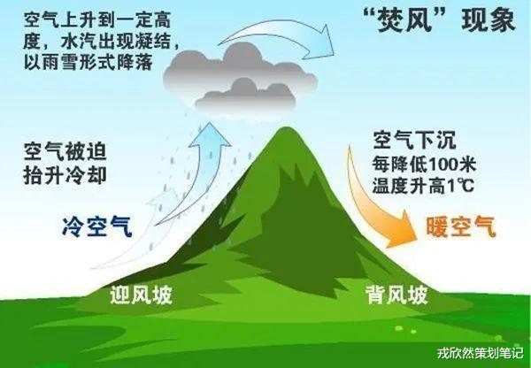 美食|为什么石家庄这么热？