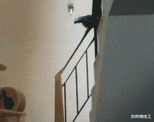 购房置业|“老家旧房子打扫出来的瓶子,能不能换一套房?”要海景房!