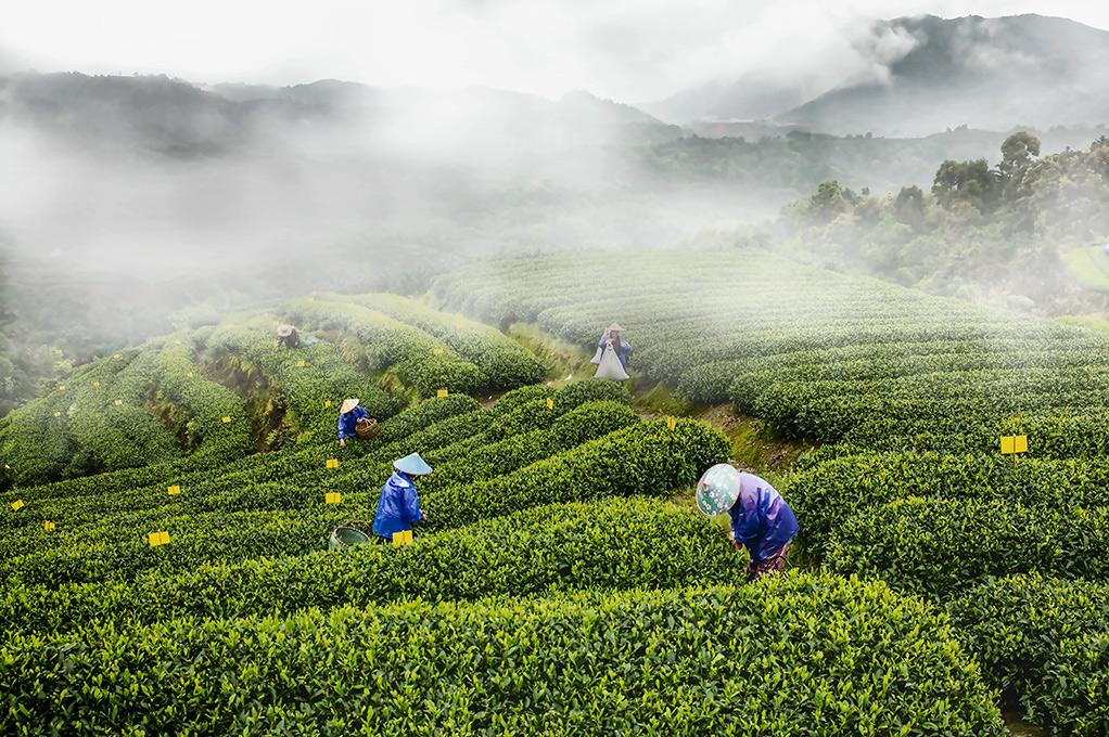 扬州|你有没有一个很喜欢的地方!去过向往的生活!