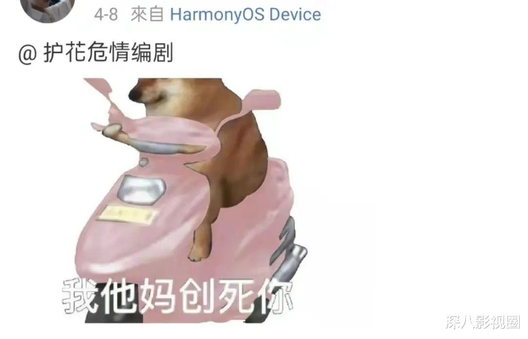 钟嘉欣|为生娃徘徊生死线还追三胎?她的生育观和奖运一样让人不懂……