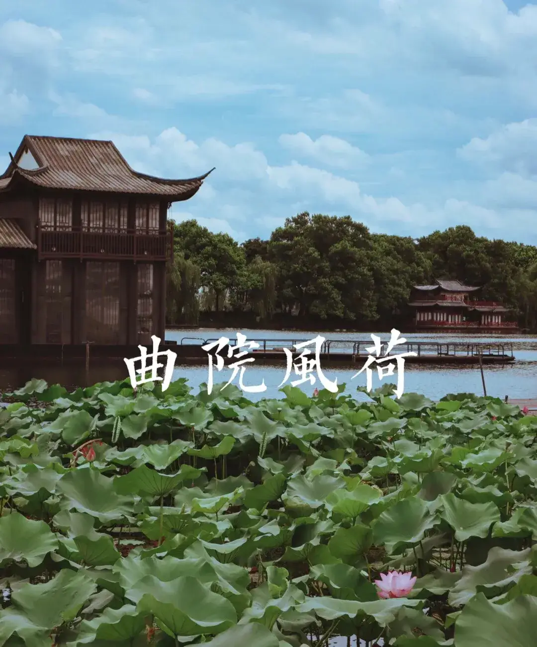 杭州西湖|烟雨入江南，山水如墨染｜杭州西湖