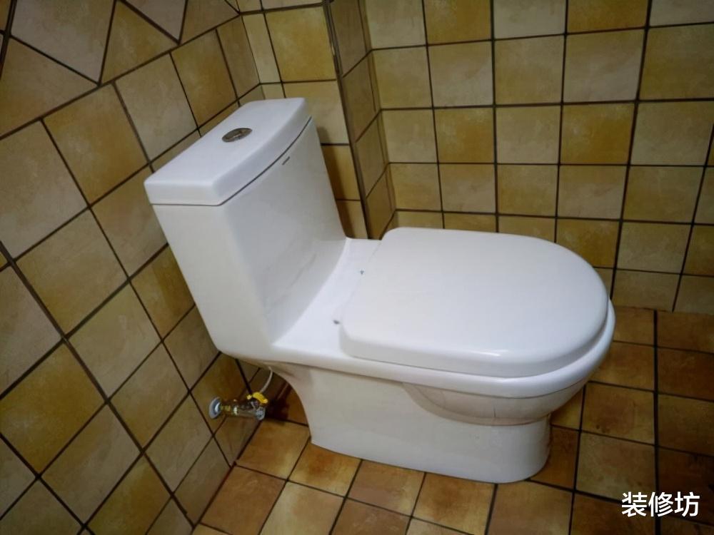 用完马桶,盖子需要放下来吗?很多人不懂,难怪马桶又臭又黄