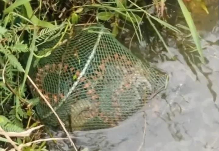 |真是人生处处有惊喜啊！还敢钓鱼吗？还敢走夜路吗？