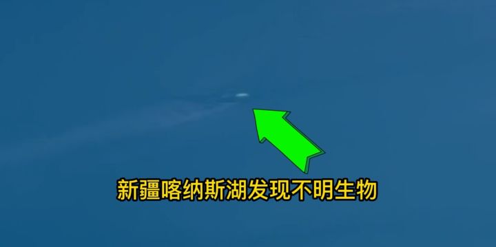 “喀纳斯湖水怪”又现身了?湖面突现巨大黑影,哲罗鲑在前面游动