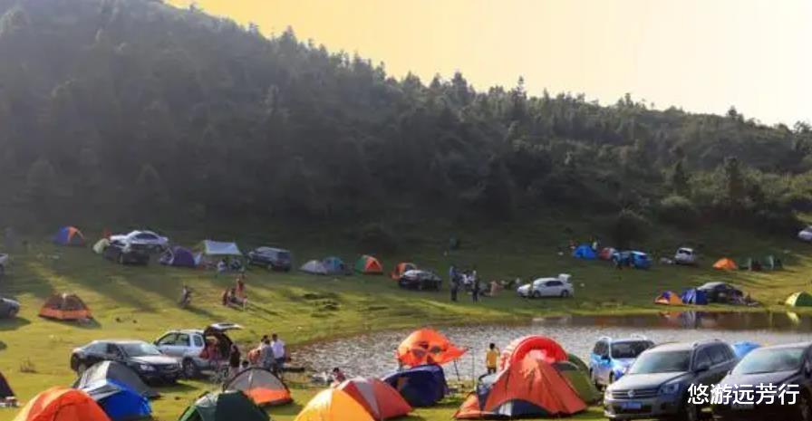 仙女山|为什么重庆大部分人夏季露营首选仙女山 原来是这5个理由