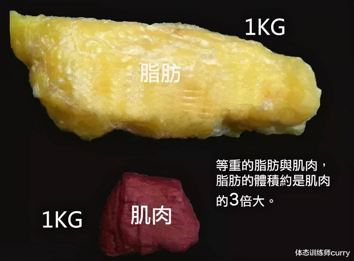 减脂 如何降低体脂率？这几个方法帮你提高身体代谢，控制体脂率上升