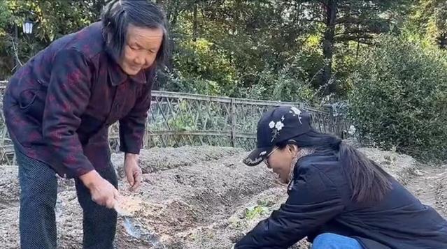 吴琼|60岁吴琼回农村老家，穿价值近1万外套在田里干活，与老人热聊