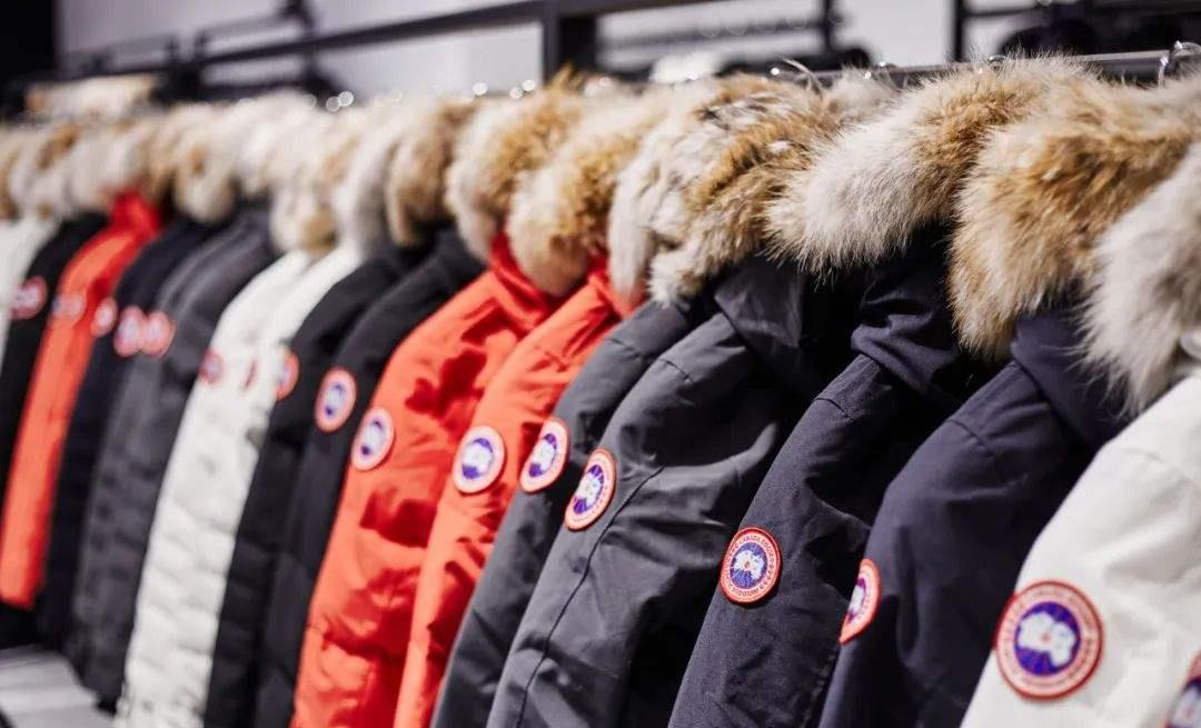 网信办|“成免费广告了”？加拿大鹅退货风波后不减反增，销售额上涨35%