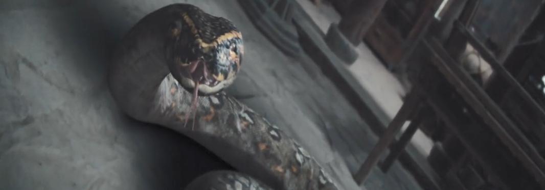 周骏超|《唐朝诡事录》原来是三胞胎!周骏超一个人一张脸演三兄弟太牛了