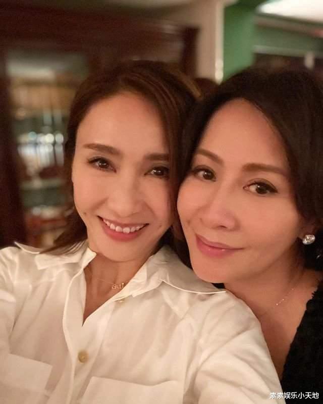 刘海 林心如的生活质量有多高?早餐是白露松搭配春卷,营养又瘦身