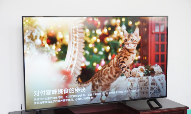 魅族|荣耀智慧屏为何让人拒绝不了?网友:开机无广告做谁得到呢