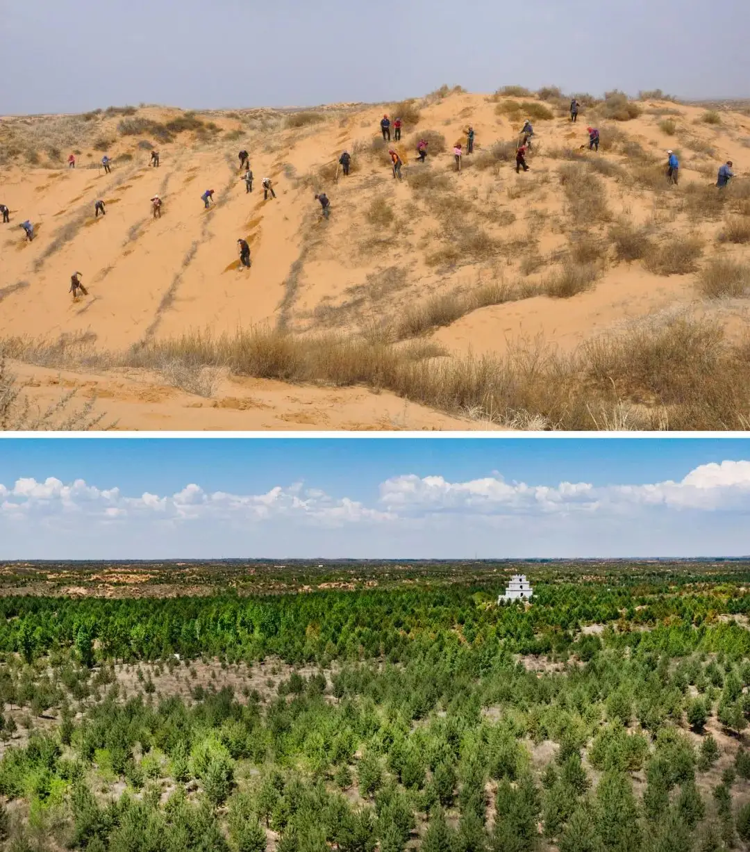 塔克拉玛干沙漠|沙漠发大水了？塔克拉玛干沙漠出现大量湖泊，为何不能植树造林？