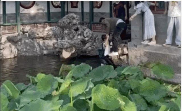 吴彦祖|6位受称赞的男星：李佳航保护韩雪不受骚扰，吴彦祖救人被打破头