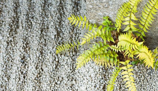 饮食|为迎孙子出生婆婆做美容,花3万8脸烂出坑眼闭不上,老伴要离婚