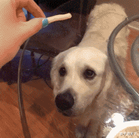 住博会|“老公车里发现的,我该怎么办?”离了吧