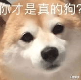 吴倩|官宣离婚后，她也变得太快了吧！