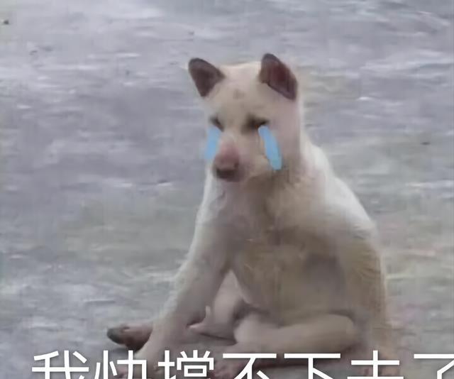 |中年残酷人生：如果你裸辞，配偶一人的工资可以支撑全家开销吗？