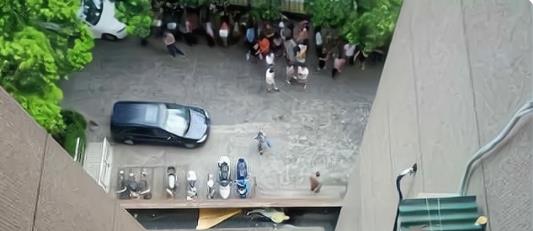 上海市|上海一青年教师自杀疑因被领导掌掴！网友：职场暴力，必须零容忍