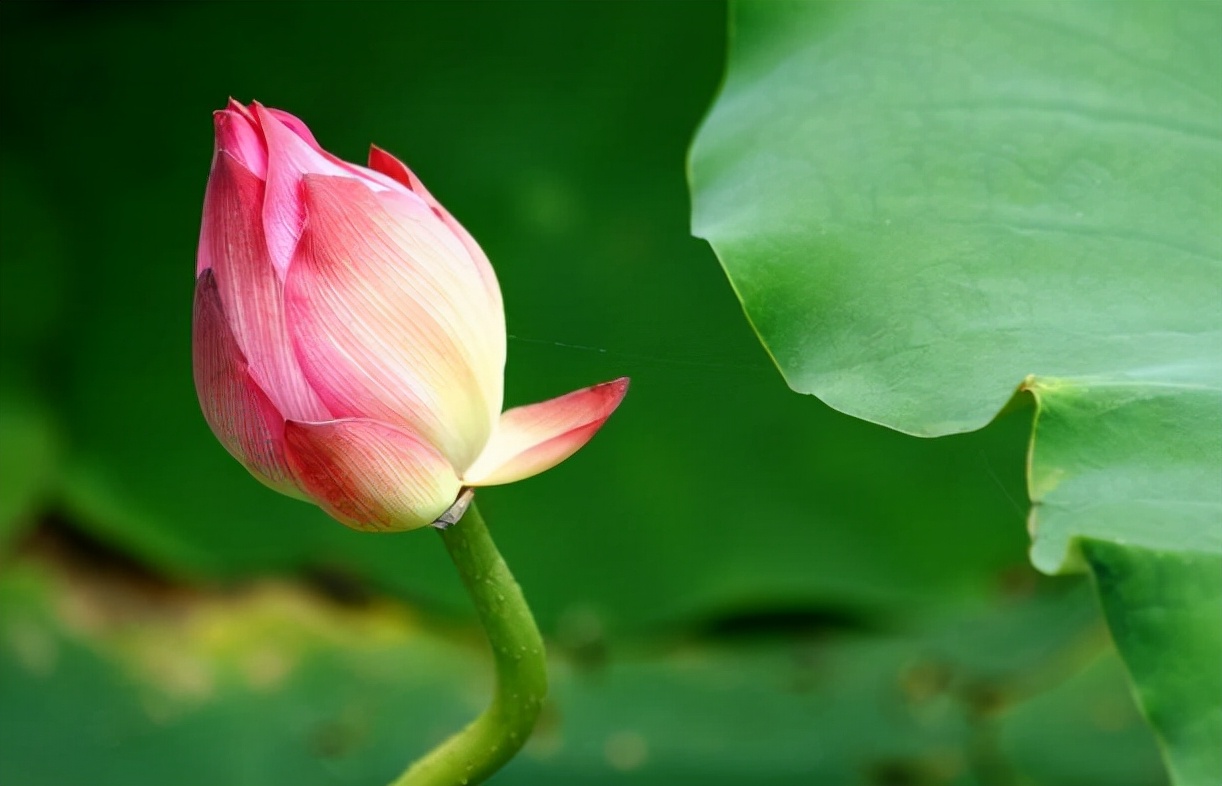 社交|人过五十，与人交往时，做到“六不带”