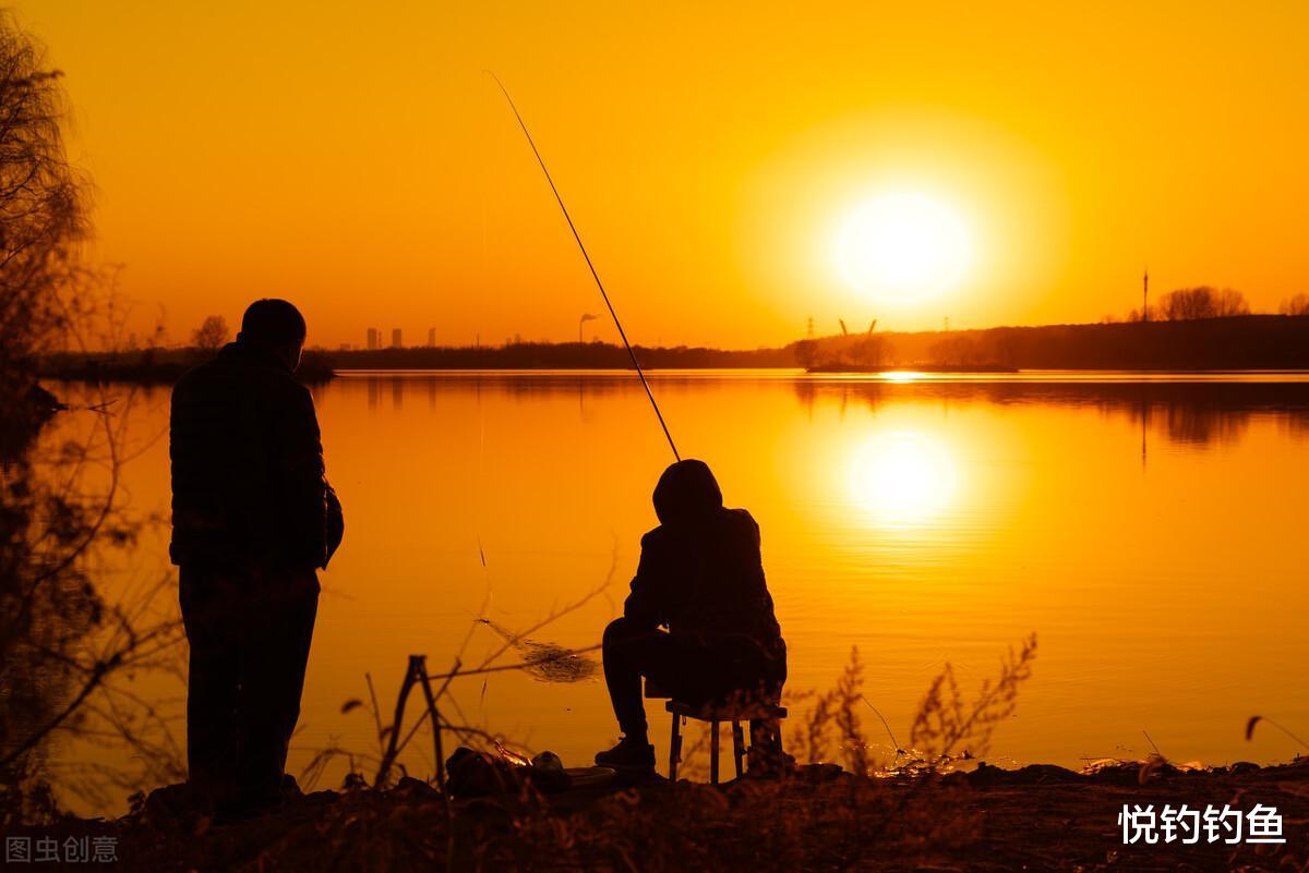 |父亲的鱼塘,不仅鱼儿肥硕,更有浓得化不开的父爱