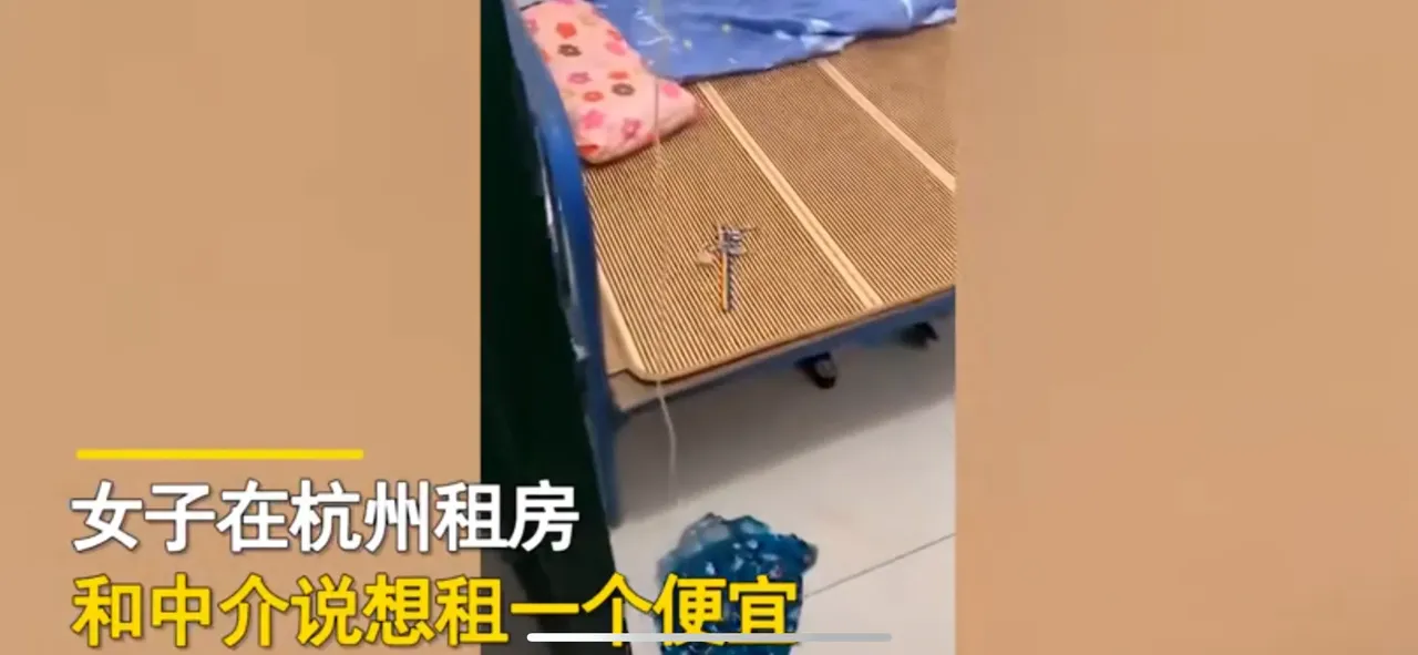 女子300元租的房子带独立卫生间,一看傻眼了:比上朝还隆重