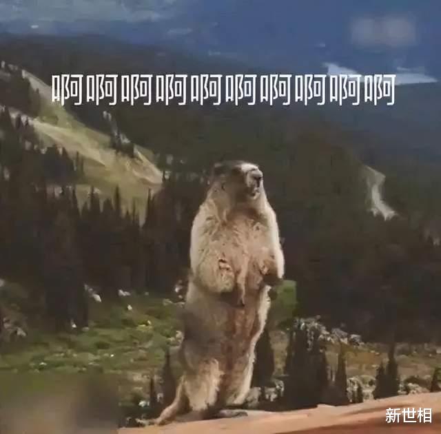 iPhoneSE|朋友圈三天可见,也挡不住她视奸